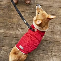 Reversible Winter Wrap Jacket for Dogs