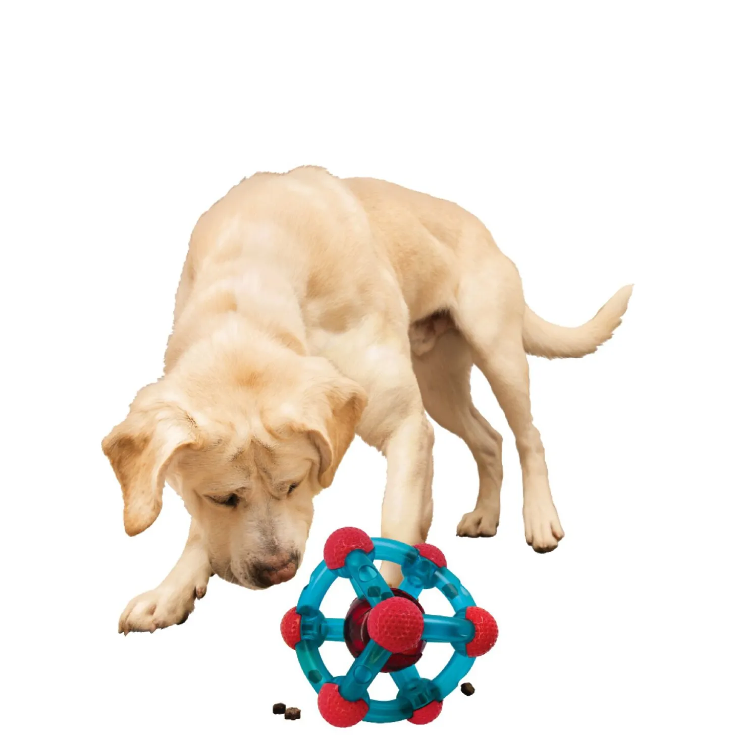 Rewards Tinker Treat Dispenser