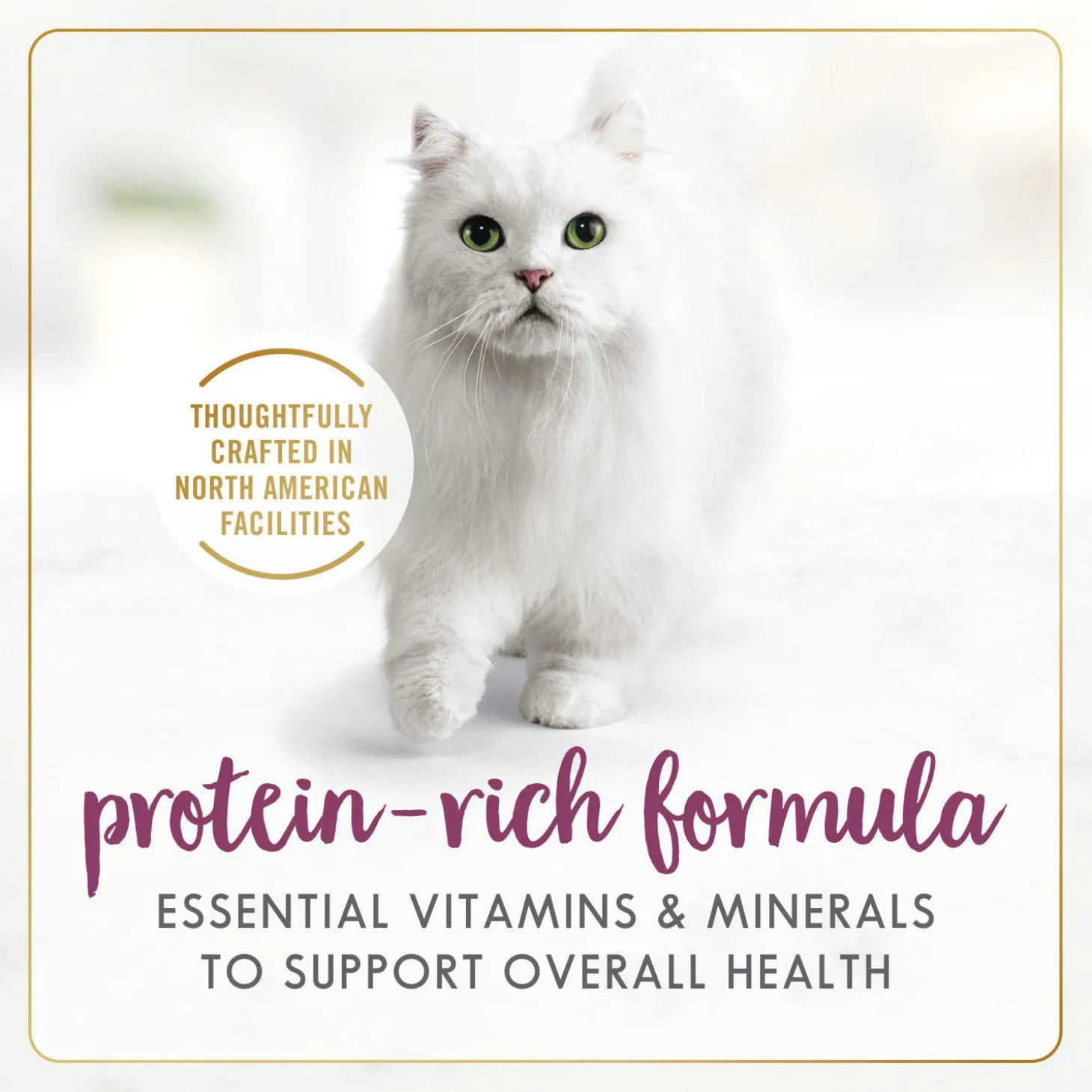 Roasted chicken wet food for adult cats