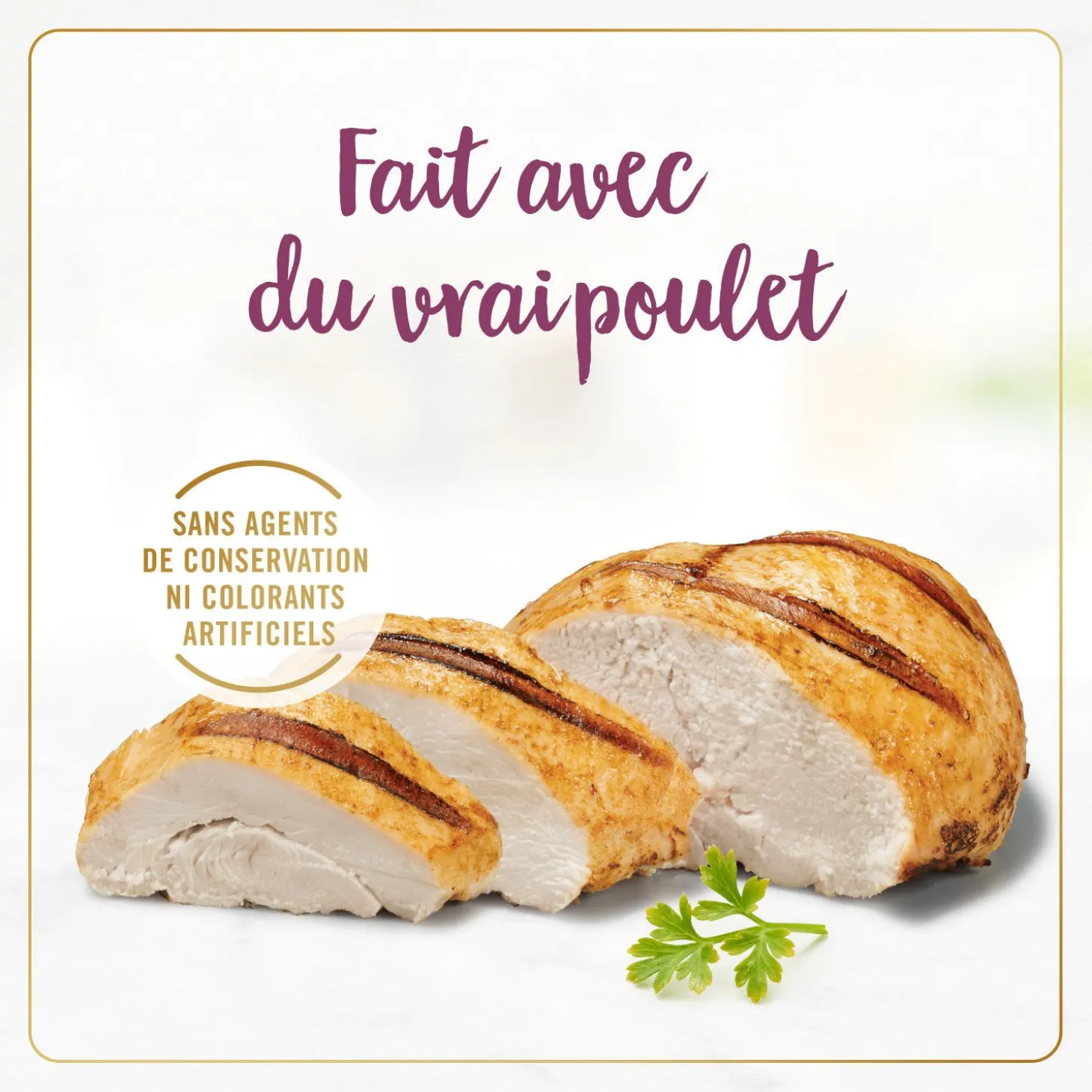 Roasted chicken wet food for adult cats