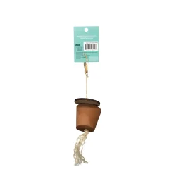 Rodent Forage Pot