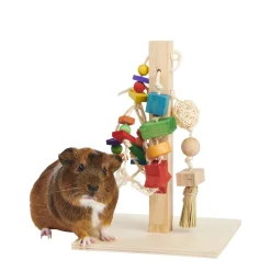 Rodent Play Post