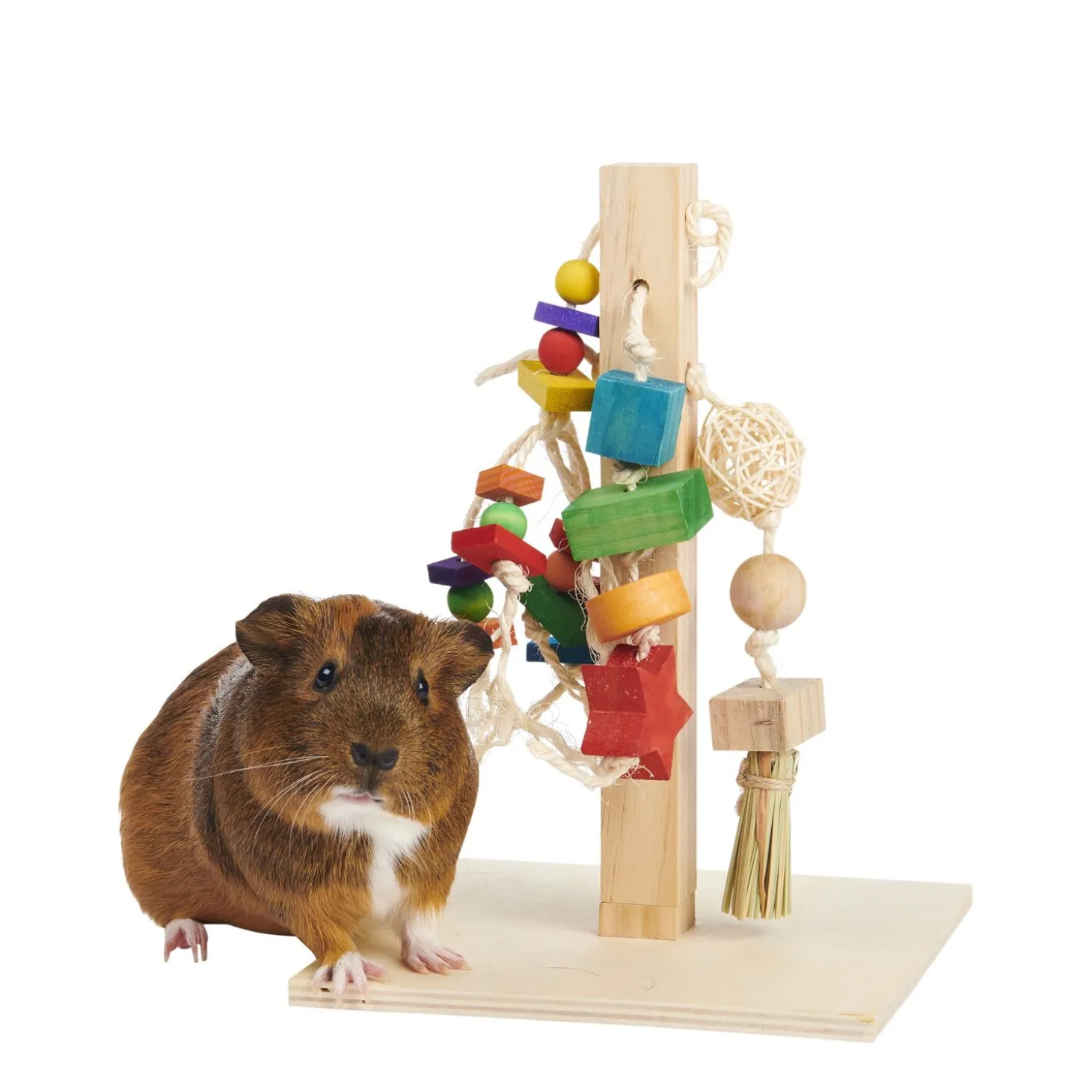 Rodent Play Post