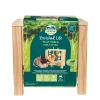 Rodent Play Table