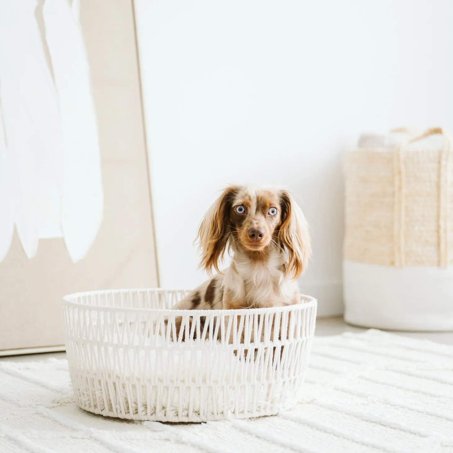Rope Pet Basket