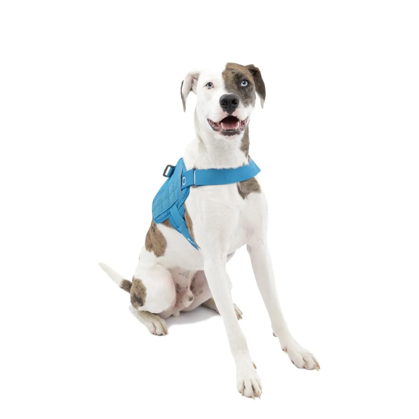 RSG Townie Harness Blue, M