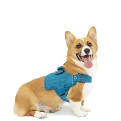 RSG Townie Harness Blue, S