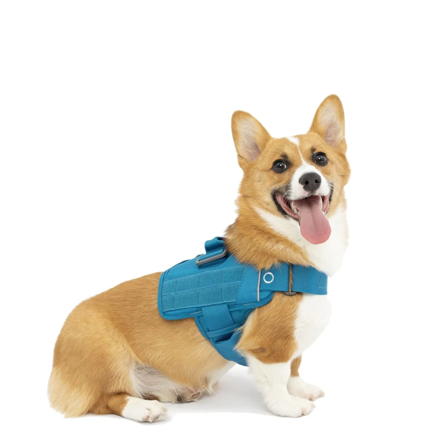 RSG Townie Harness Blue, S