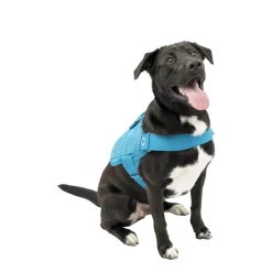 RSG Townie Harness Blue, XL