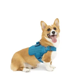 RSG Townie Harness Blue, XS