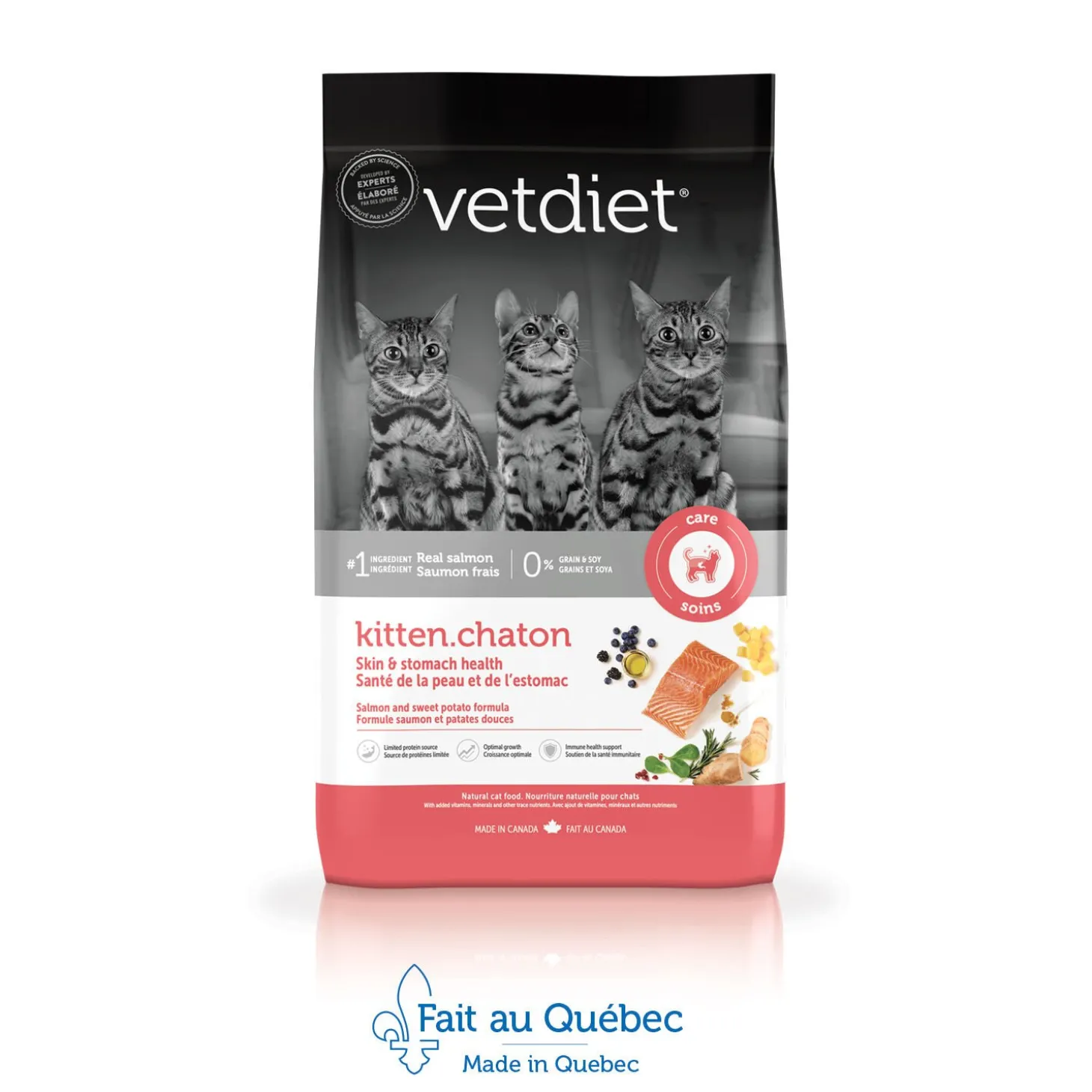 Salmon Skin and Stomach Health Dry Food for Kittens