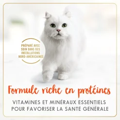Salmon wet food for adult cats