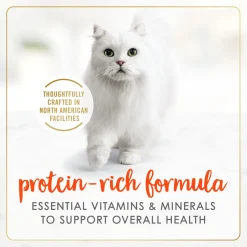 Salmon wet food for adult cats