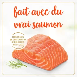 Salmon wet food for adult cats