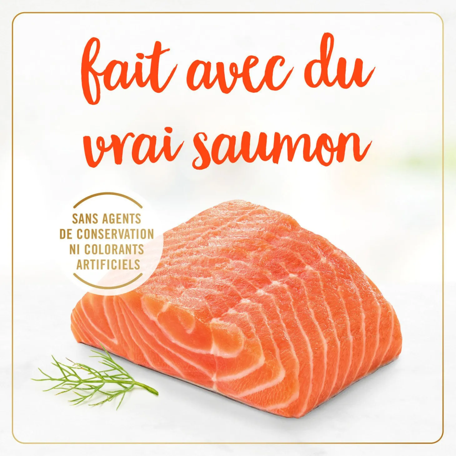 Salmon wet food for adult cats