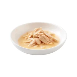 Salmon wet food for cats