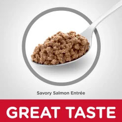 Savory Salmon Entrée for Adult Cats 1-6, 156 g