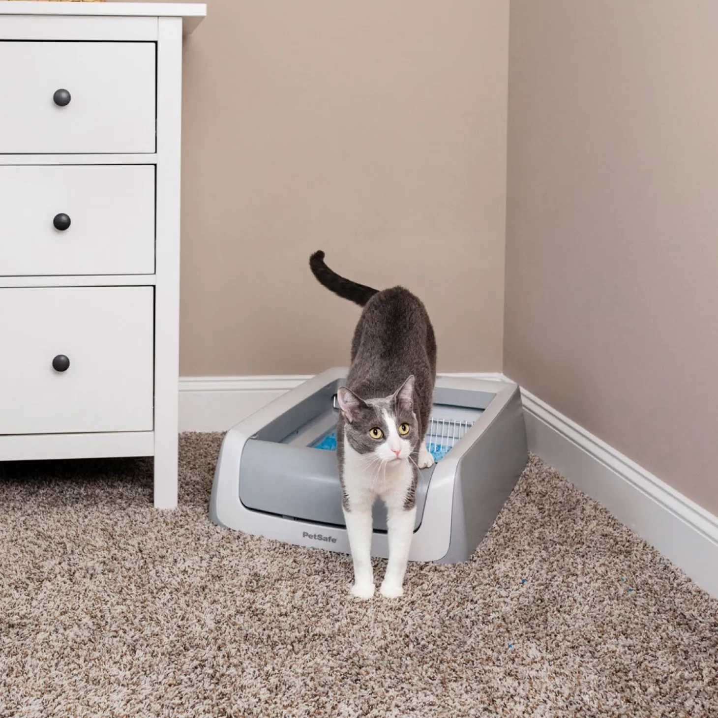 ScoopFree® Self-Cleaning Litter Box, Second Generation