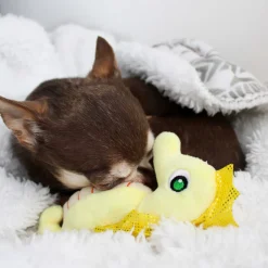 Seahorse cat toy
