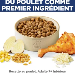 Senior 7+ Indoor Dry Chicken Cat Food, 7.03 kg