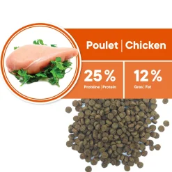Senior Chicken Formula Toy and Small Breeds
