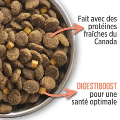 Sensitive skin & stomach formula for dogs