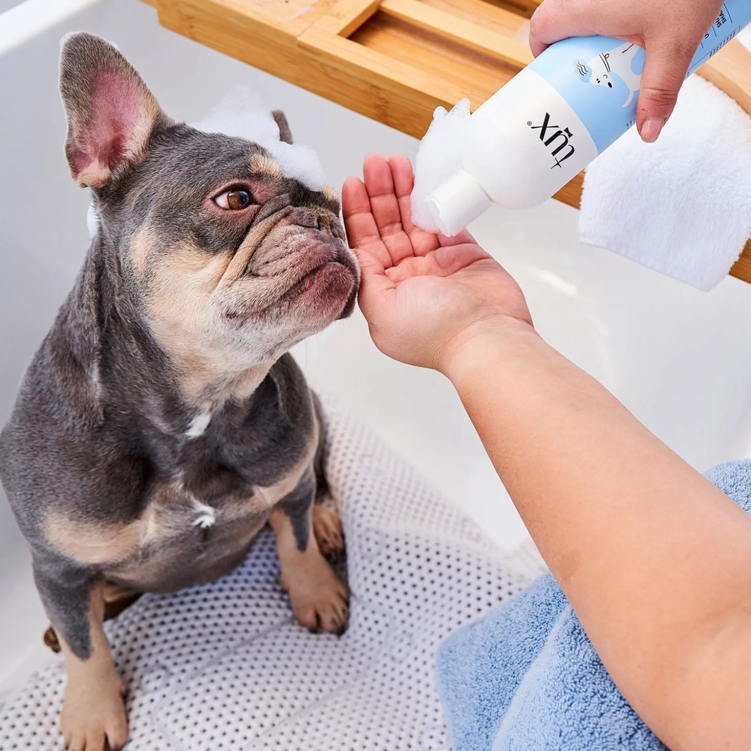Sensitive Skin Shampoo for Dogs, 475 ml