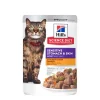 Sensitive Stomach and Skin Chicken and Beef for Adult Cats, 79 g