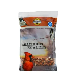 Shelled peanuts for wild birds