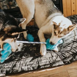 Shoe you can Chew