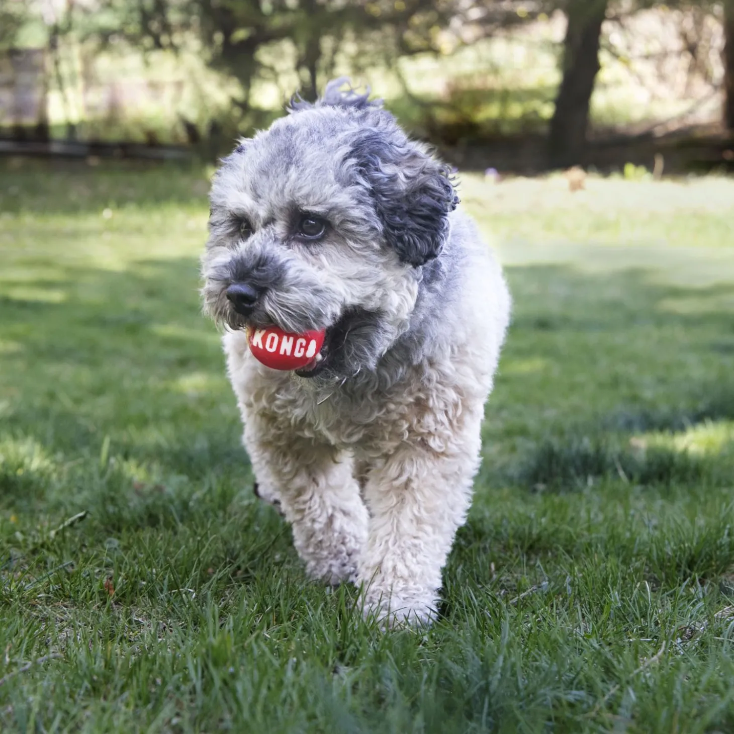 Signature Ball
