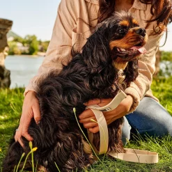 Silicone Collar for Dogs, Beige