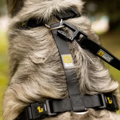Silicone Dog Harness