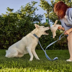 Silicone Leash for Dogs, Coronet Blue
