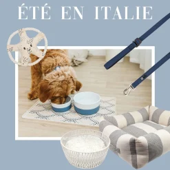 Silicone Leash for Dogs, Coronet Blue