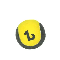 Simple tennis ball
