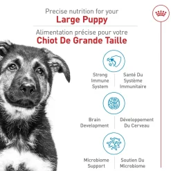 Size Health Nutrition™ Large Puppy Dry Food