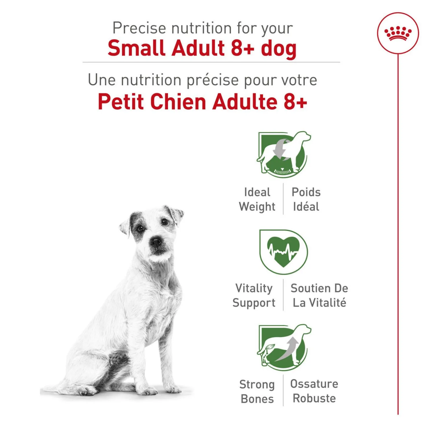 Size Health Nutrition™ Small Adult 8+ Dry Dog Food