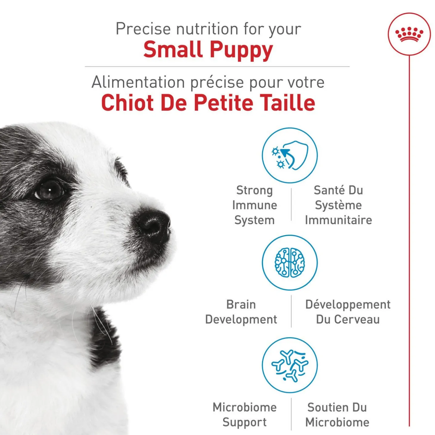 Size Health Nutrition™ Small Puppy Dry Dog Food