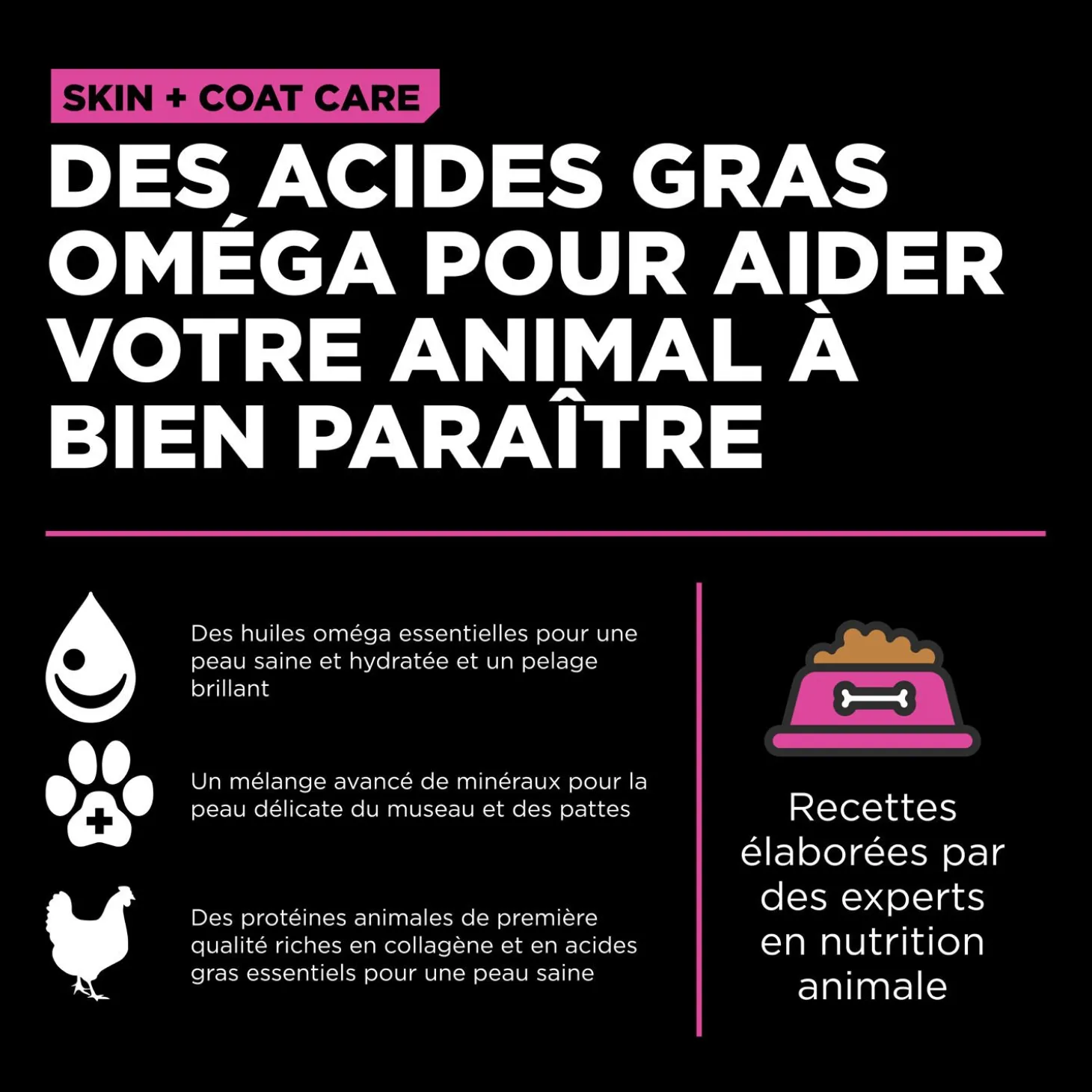 Skin + Coat Care Chicken and Grains Recipe for Cats, 7.76 kg