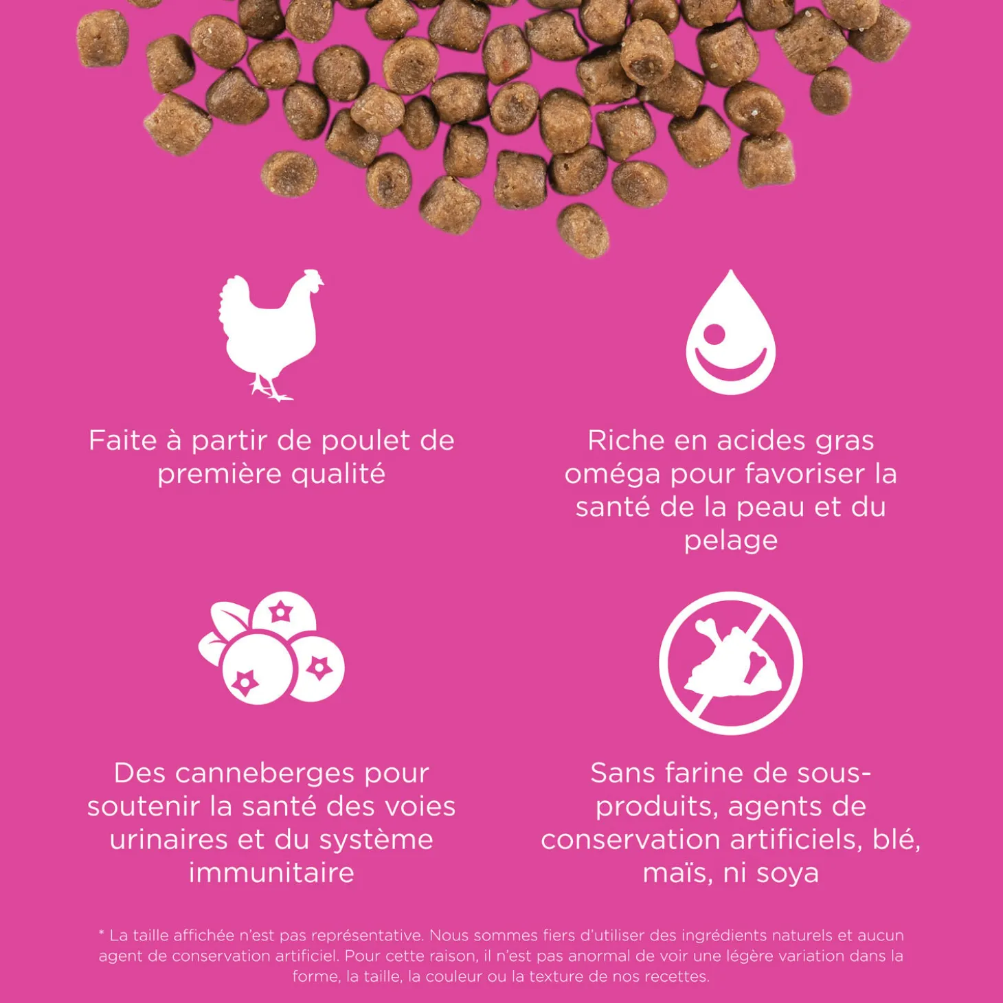 Skin + Coat Care Chicken and Grains Recipe for Cats, 7.76 kg