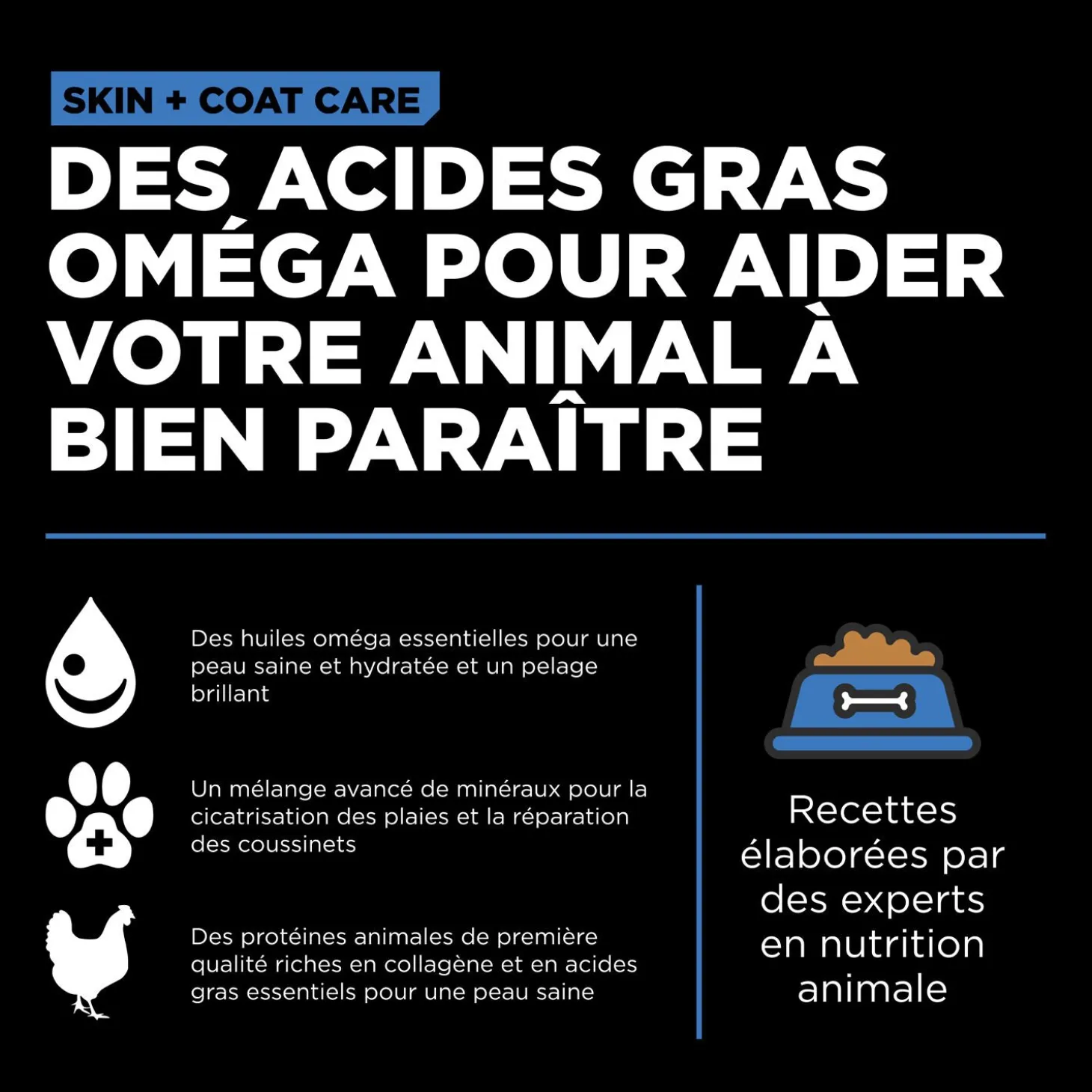 Skin + Coat Care Chicken and Grains Recipe for Dogs, 9.98 kg