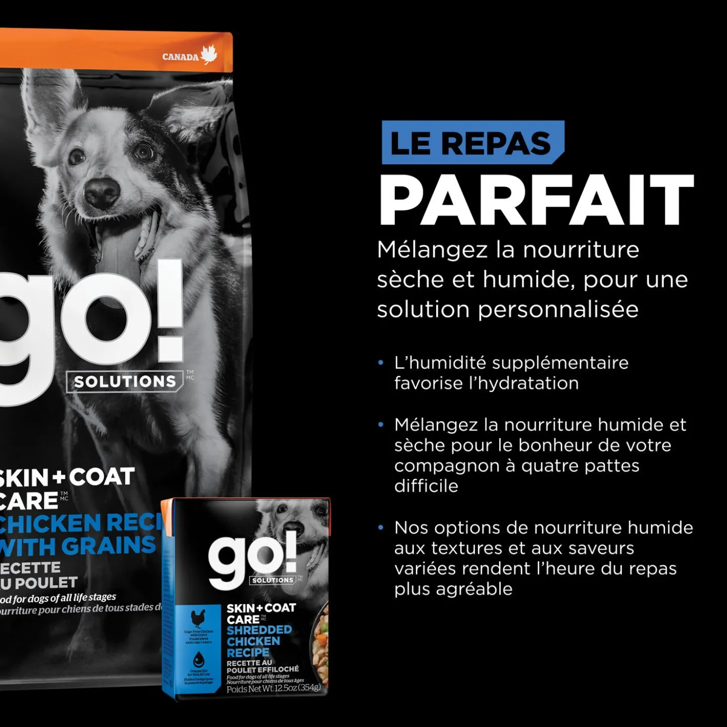 Skin + Coat Care Chicken and Grains Recipe for Dogs, 9.98 kg