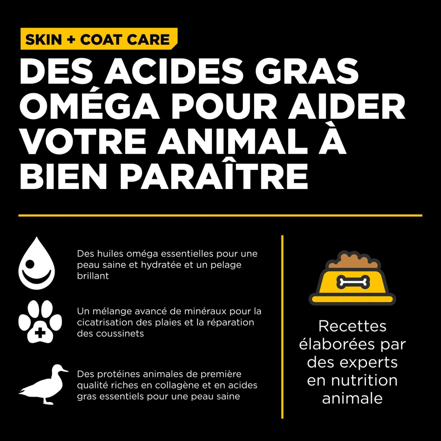 Skin + Coat Care Duck and Grains Recipe for Dogs, 1.59 kg