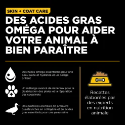 Skin + Coat Care Duck and Grains Recipe for Dogs, 9.98 kg