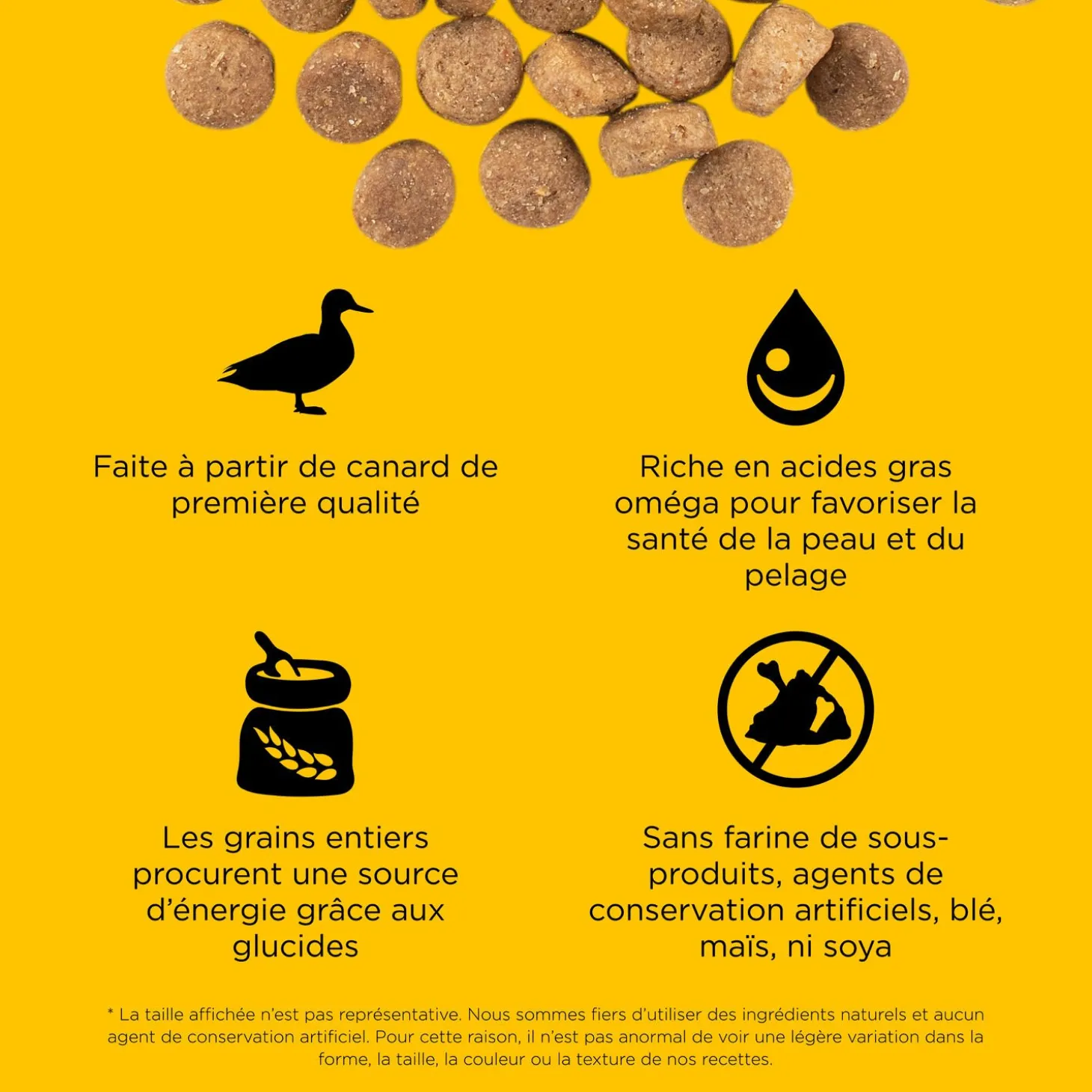 Skin + Coat Care Duck and Grains Recipe for Dogs, 9.98 kg