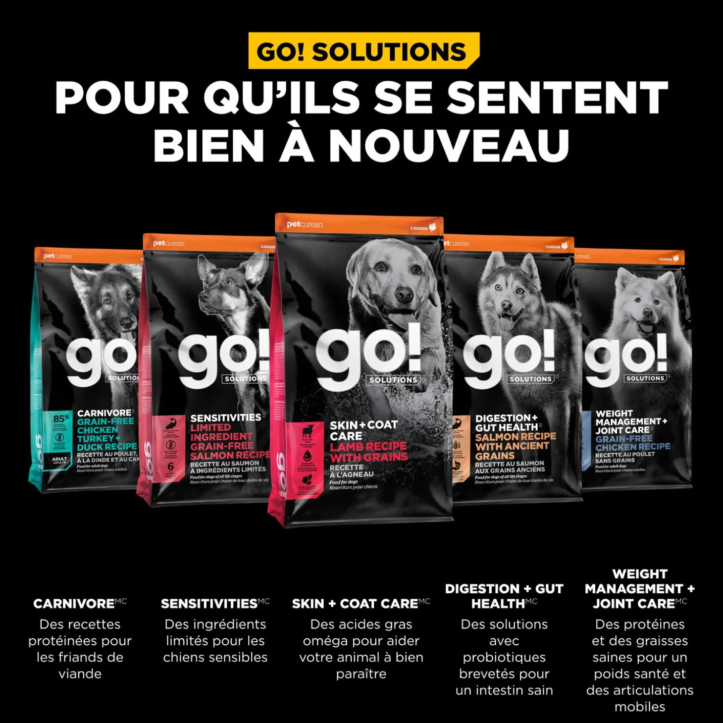 Skin + Coat Care Lamb and Grains Recipe for Dogs, 5.44 kg