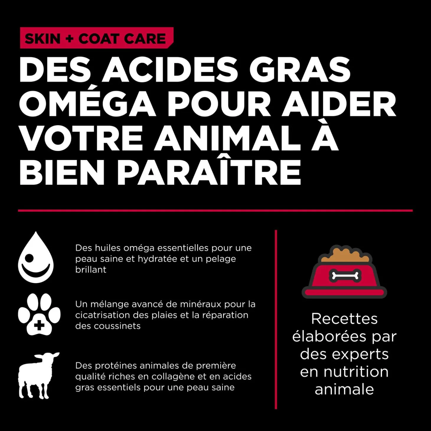 Skin + Coat Care Lamb and Grains Recipe for Dogs, 1.59 kg