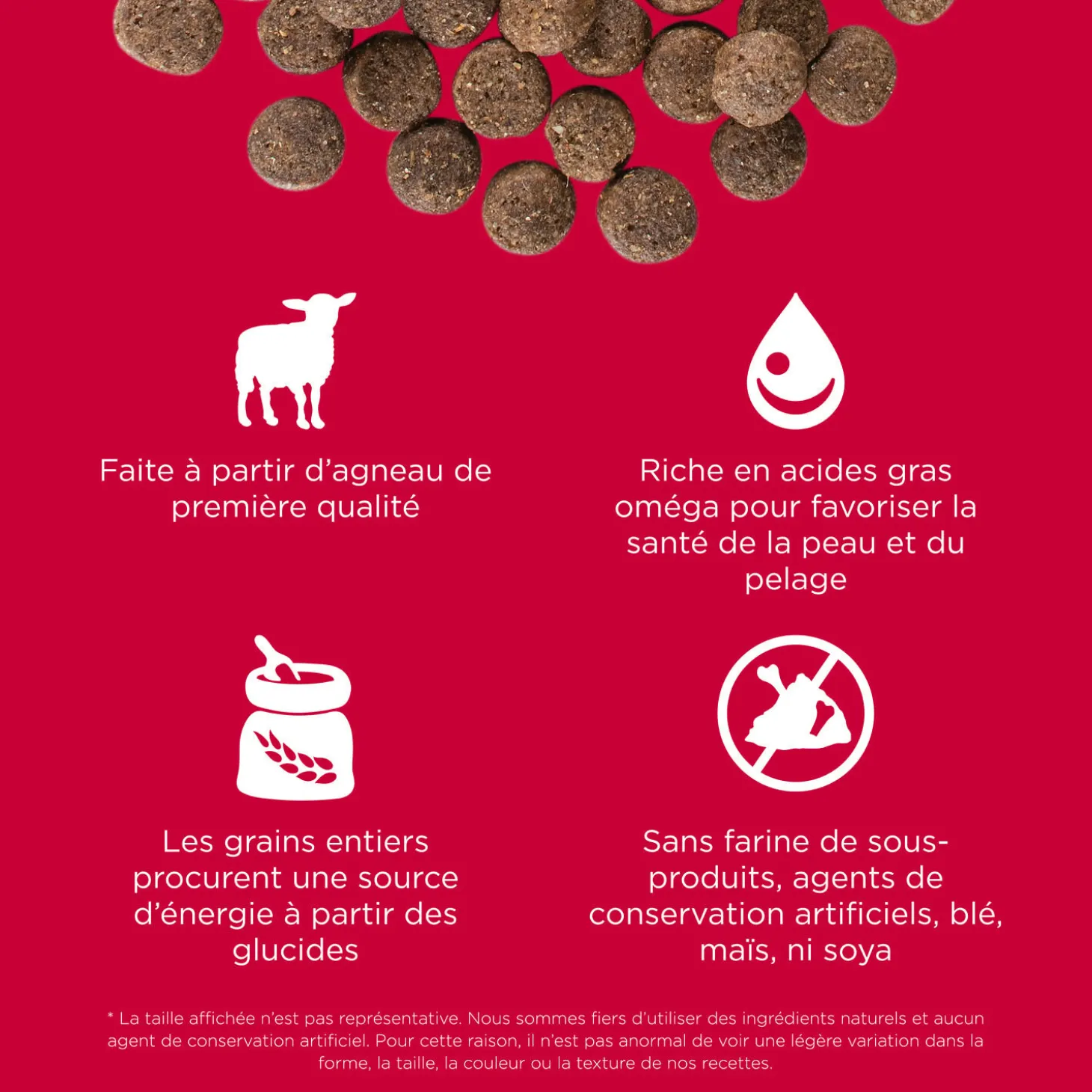 Skin + Coat Care Lamb and Grains Recipe for Dogs, 1.59 kg