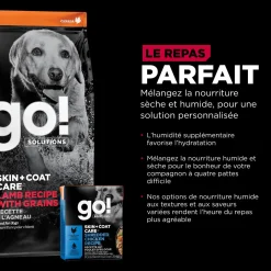 Skin + Coat Care Lamb Recipe with Grains for Dogs, 9.98 kg